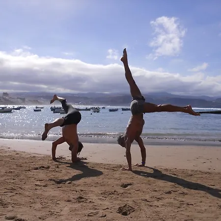 Palmeras Del Sur أذيخي